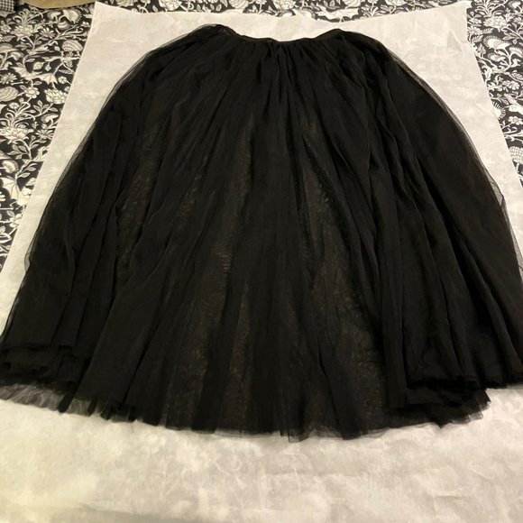 Anthropologie Dresses & Skirts - Anthropologie Sheer Tulle Maxi Skirt Sz M